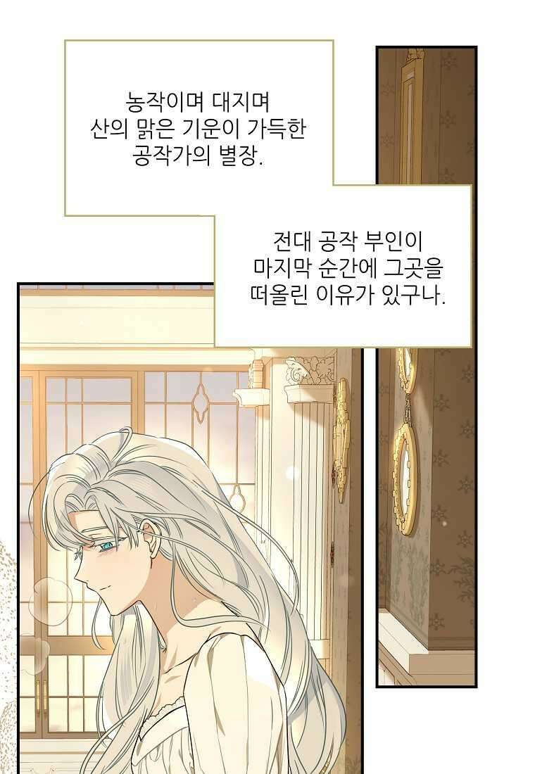 백작가의 사생아가 결혼하면 95화 15