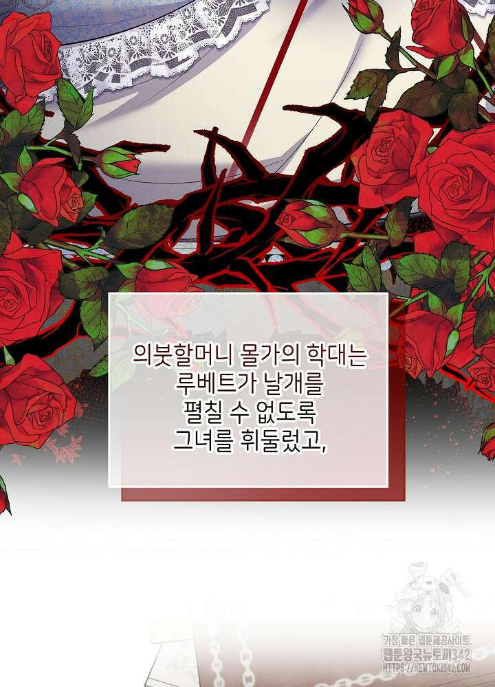 셀럽 레이디 6화 16