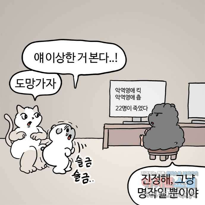 흔한햄 2부 11화 : 확실햄 3