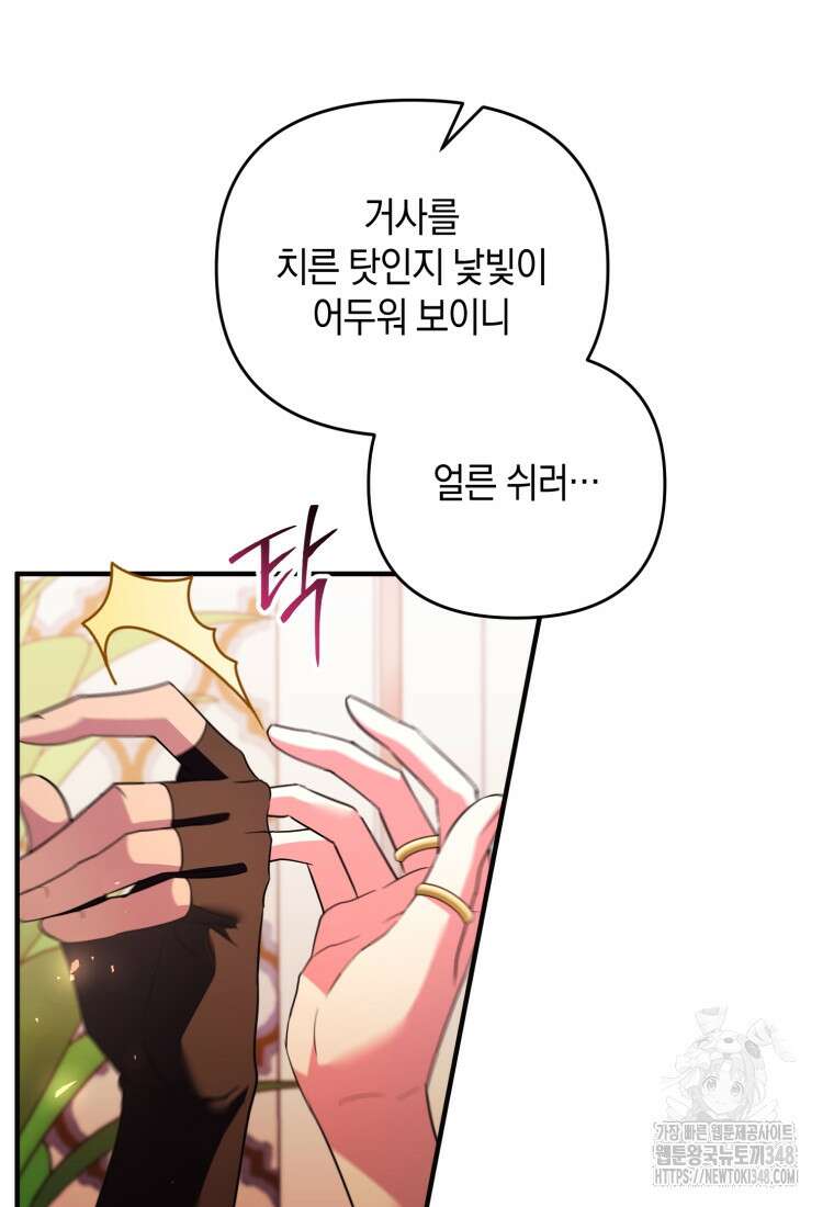 술탄의 귀한 고양이가 되었습니다 67화 19