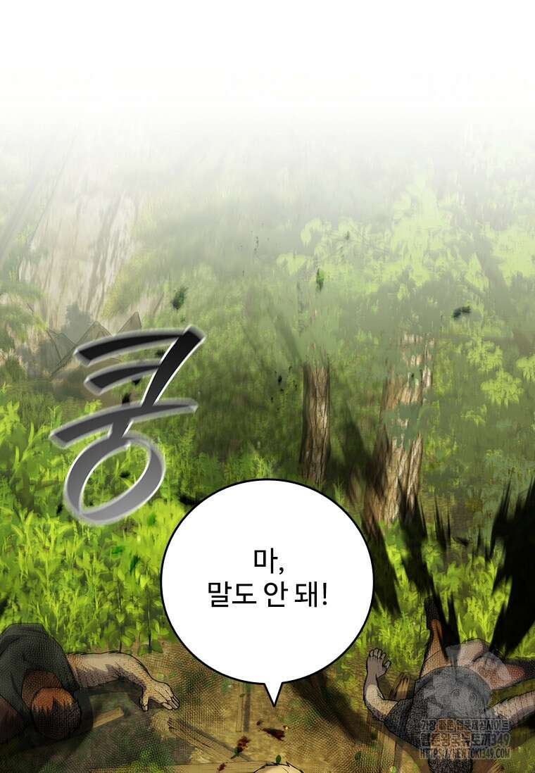 용을 삼킨 마법사 69화 25