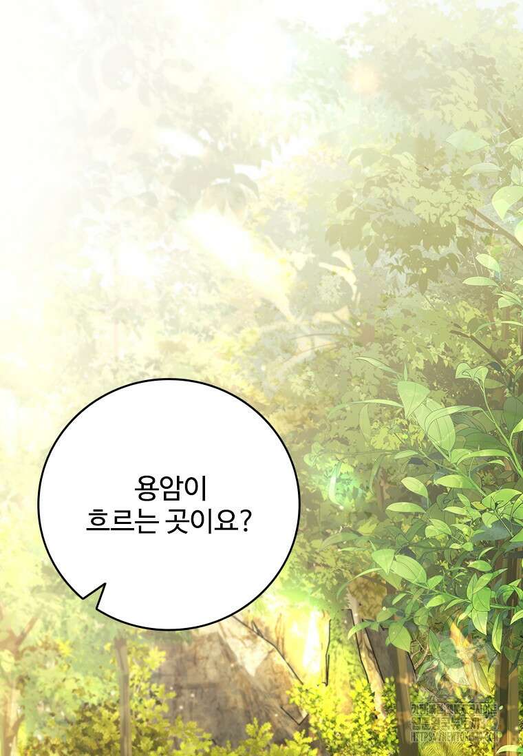 용을 삼킨 마법사 69화 33