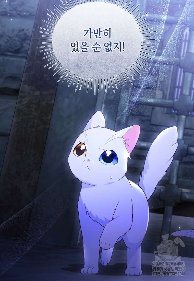술탄의 귀한 고양이가 되었습니다 68화 16