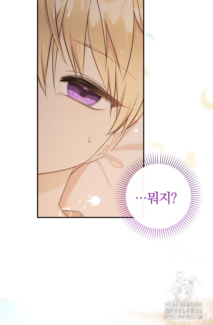 아기님 캐시로 로판 달린다 65화 14