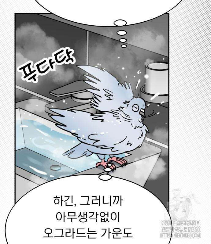 성북구 비둘기 이헌서 17화 4