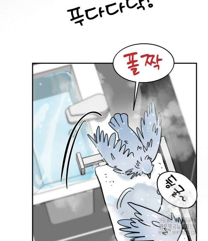 성북구 비둘기 이헌서 17화 8