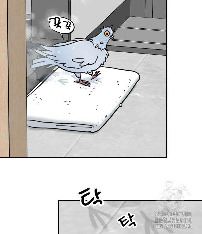성북구 비둘기 이헌서 17화 10