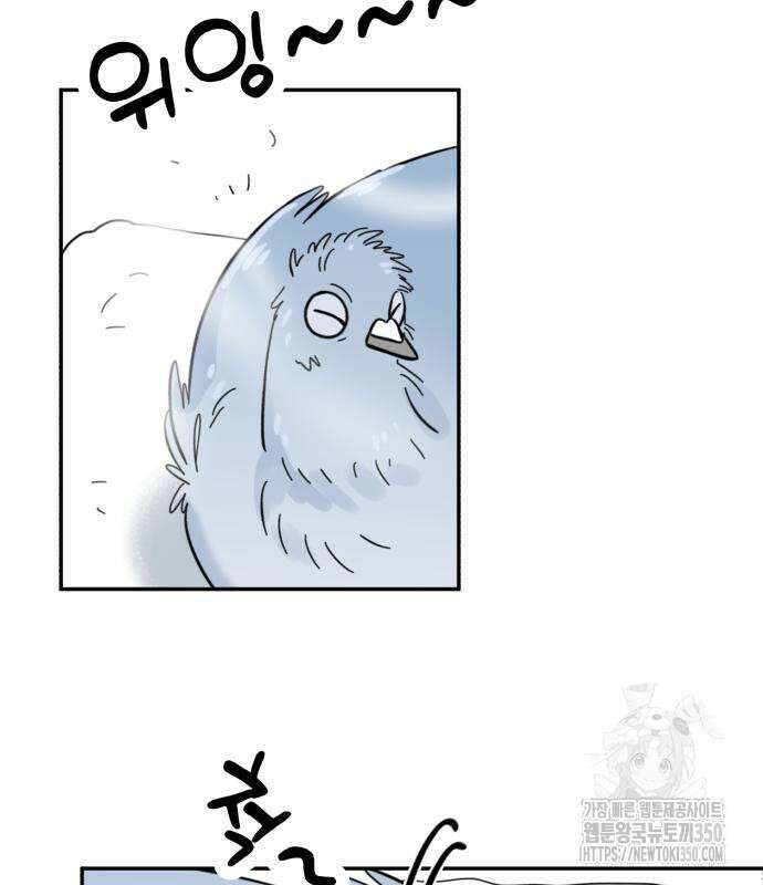 성북구 비둘기 이헌서 17화 19