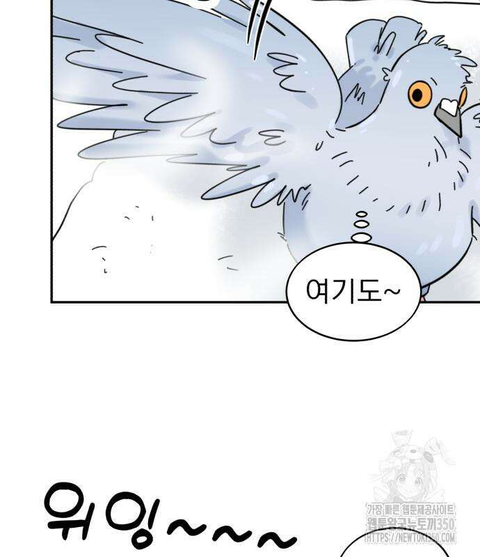 성북구 비둘기 이헌서 17화 20