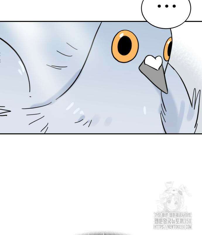 성북구 비둘기 이헌서 17화 21