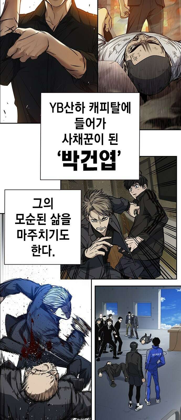 스터디그룹 시즌1,2 요약 82