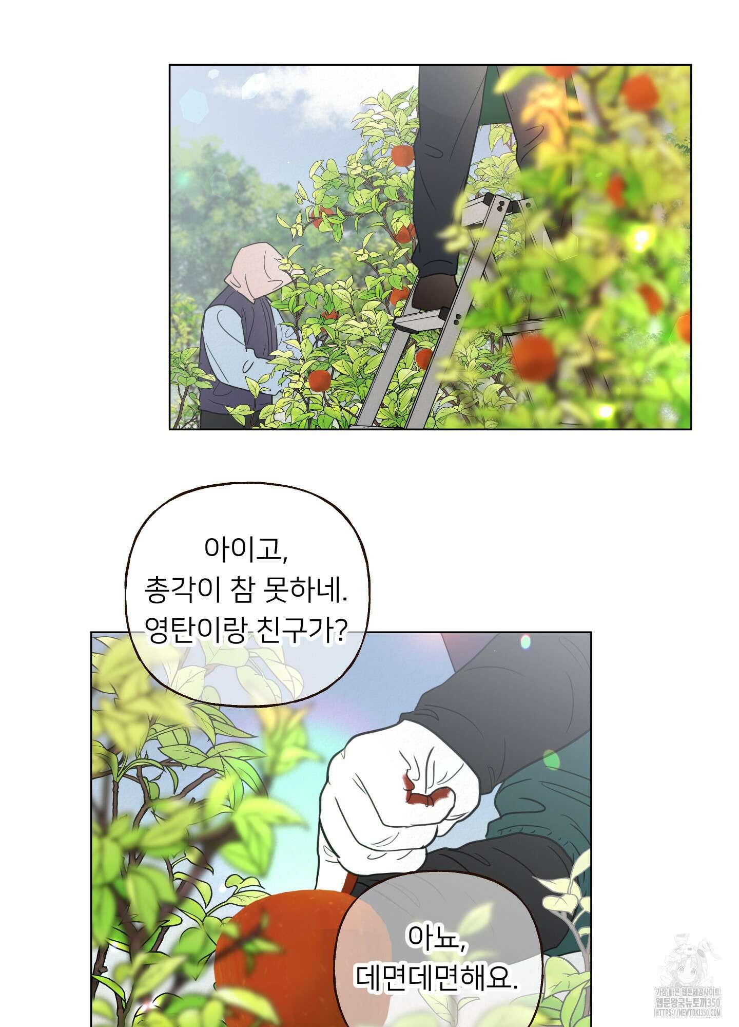 사이계절 47화 10