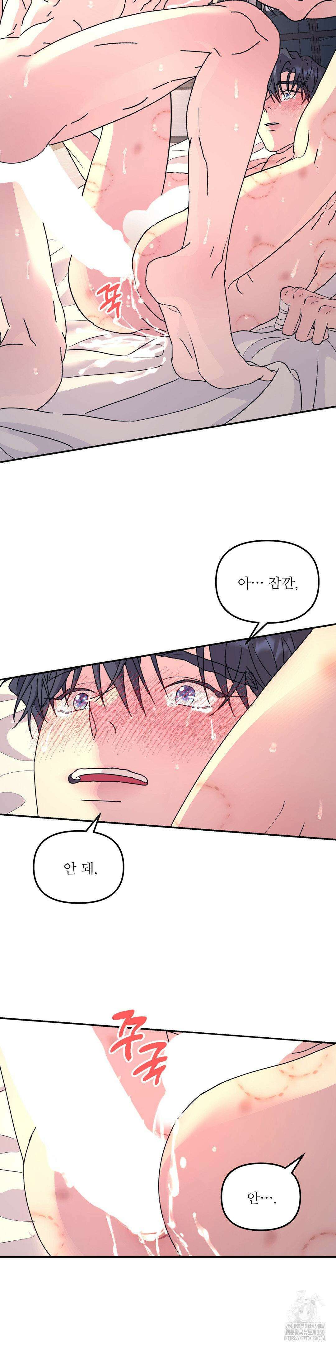뿌리 없는 나무 62화 24