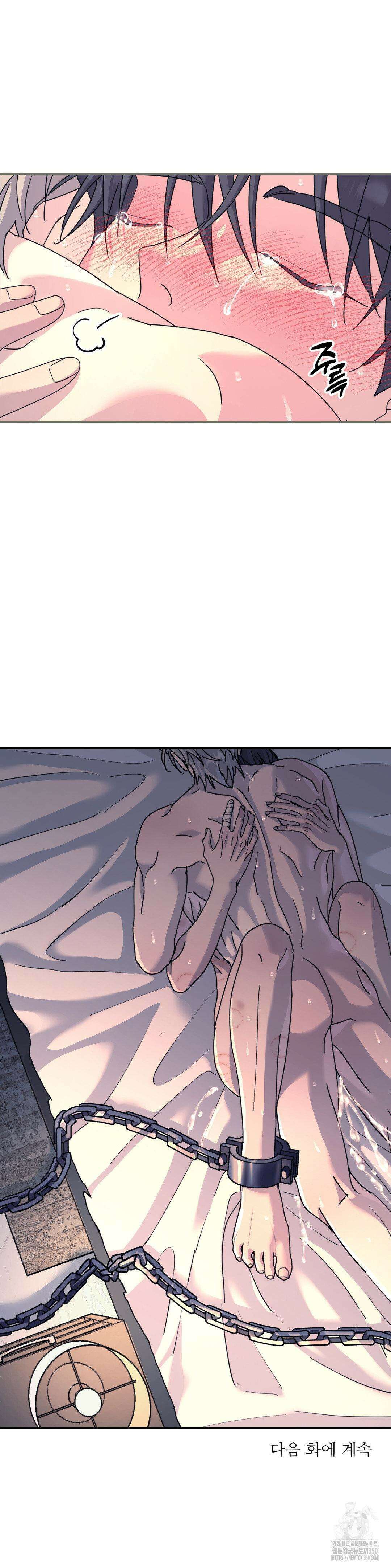 뿌리 없는 나무 62화 29
