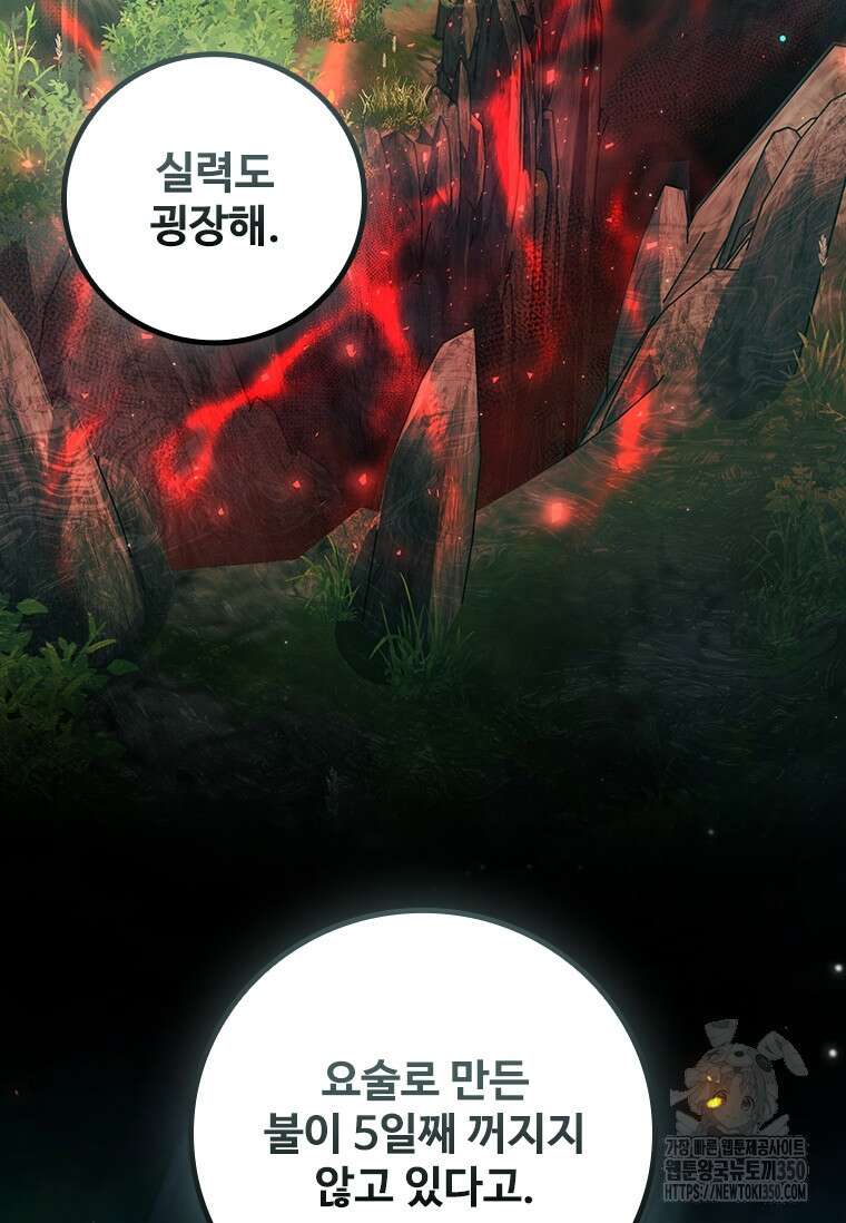 용을 삼킨 마법사 71화 3