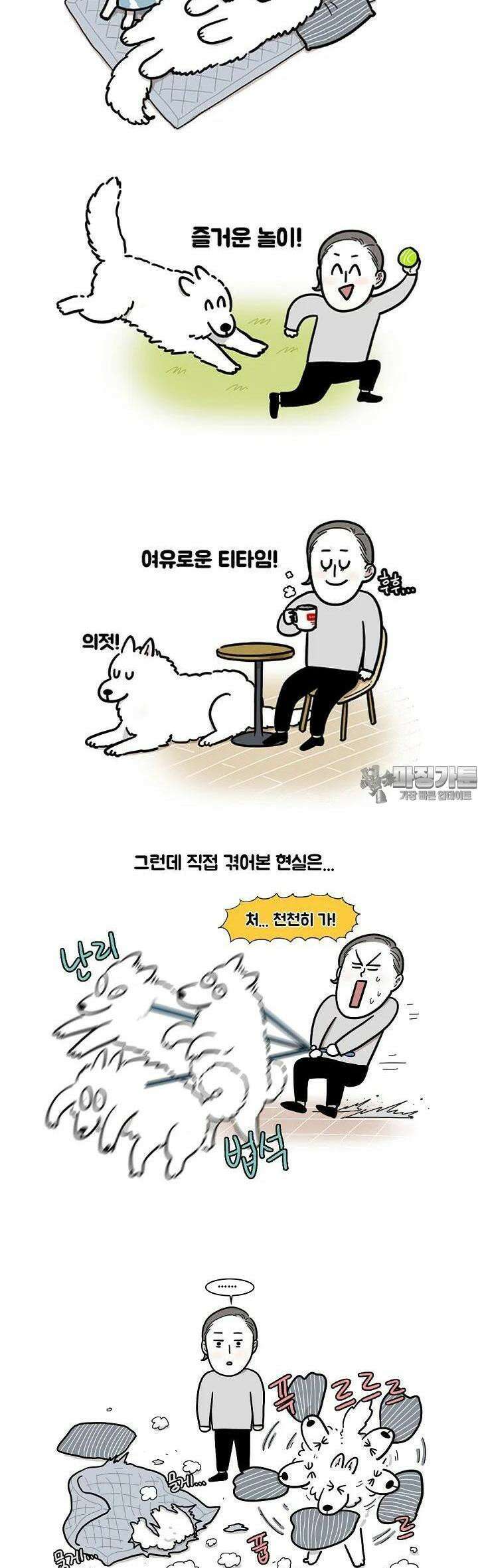 극한견주 [프롤로그] 2