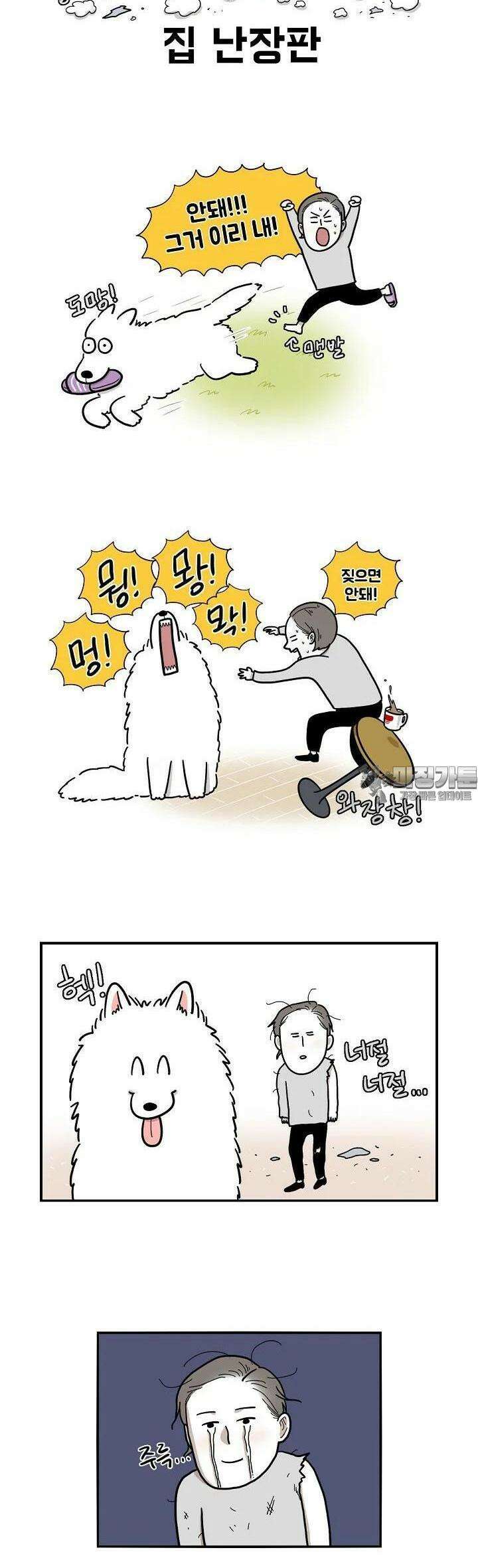 극한견주 [프롤로그] 3