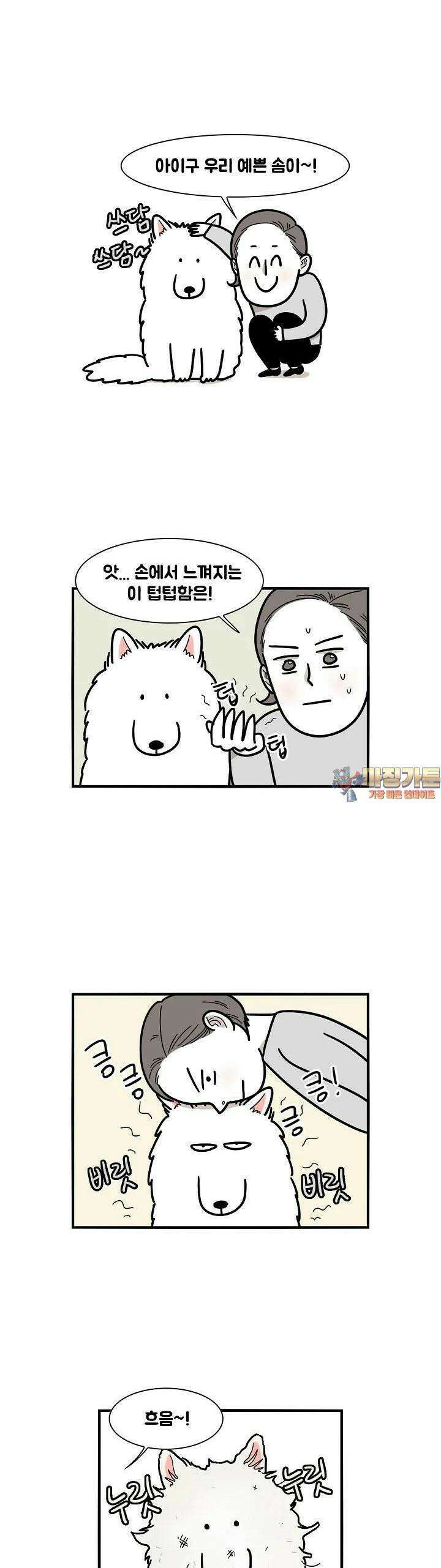 극한견주 6화 목욕 1