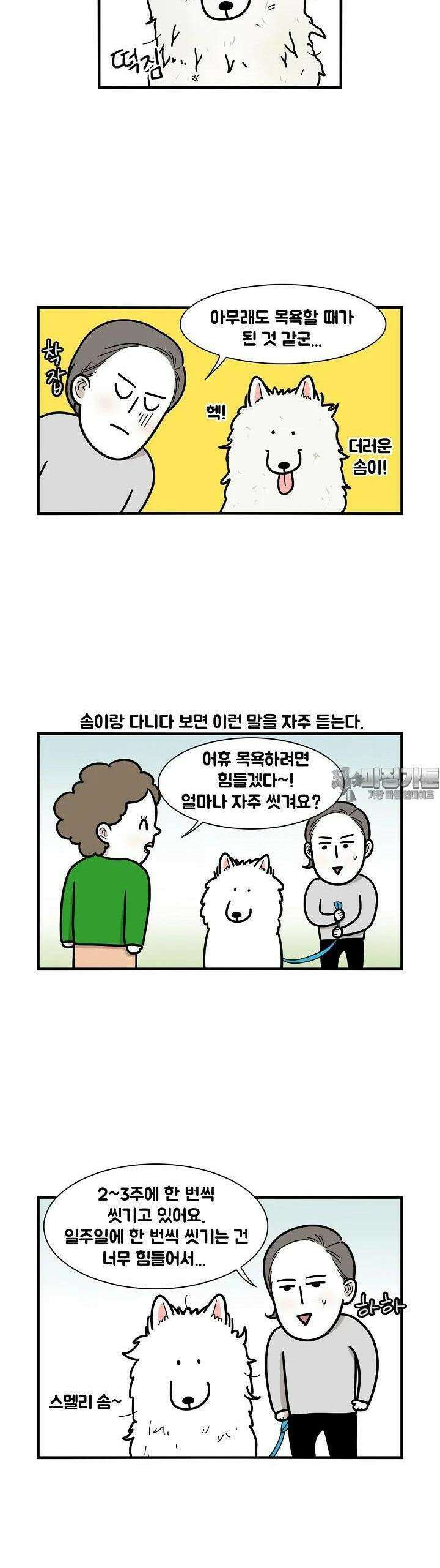 극한견주 6화 목욕 2