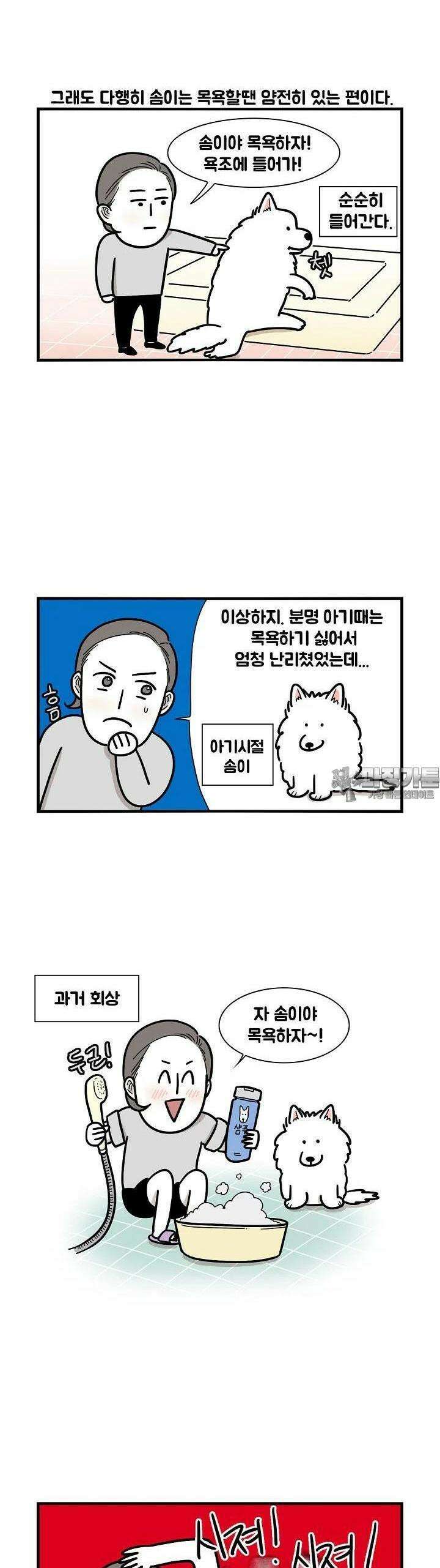 극한견주 6화 목욕 3