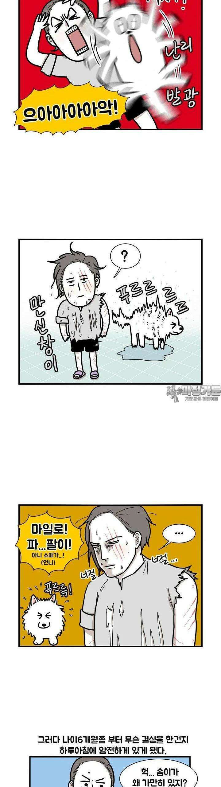 극한견주 6화 목욕 4