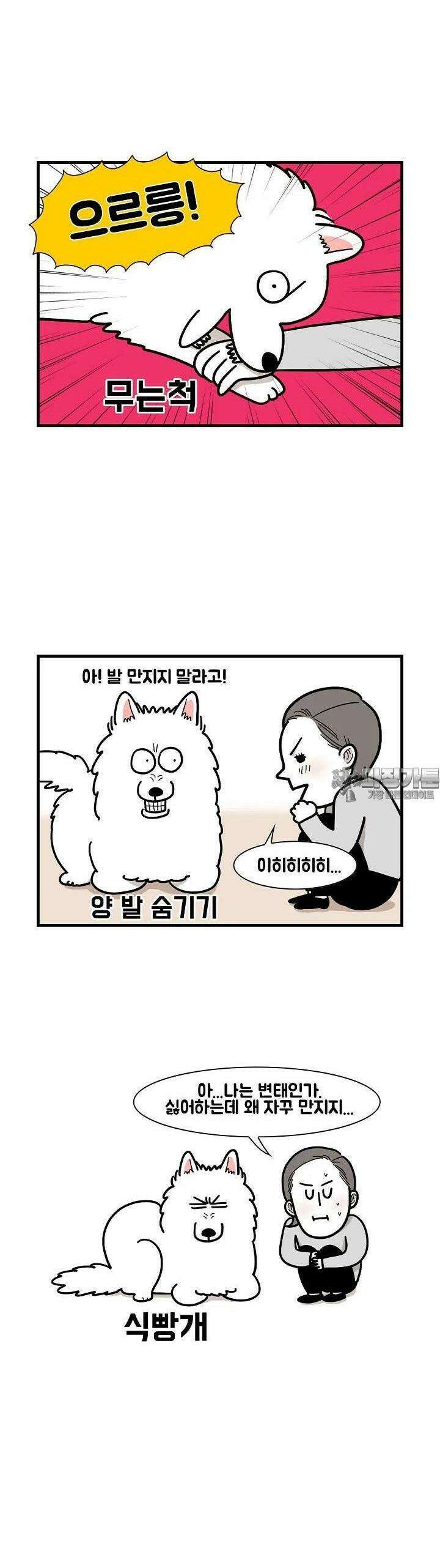 극한견주 12화 만지면 싫은 부위 3