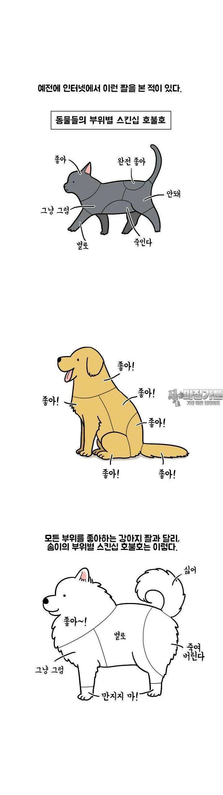 극한견주 12화 만지면 싫은 부위 4