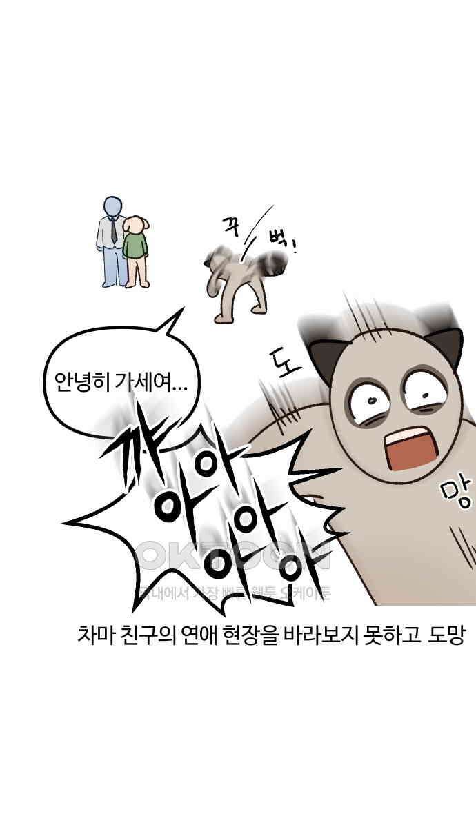 구야는 신입 20화 12