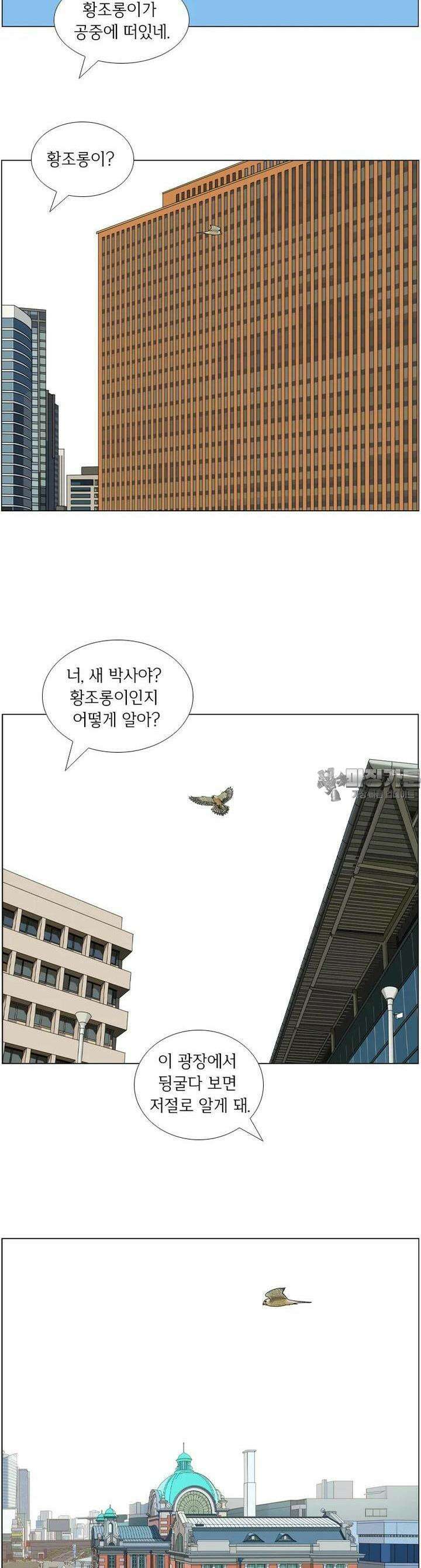 나도 사람이야 8화 광장의 비둘기 2