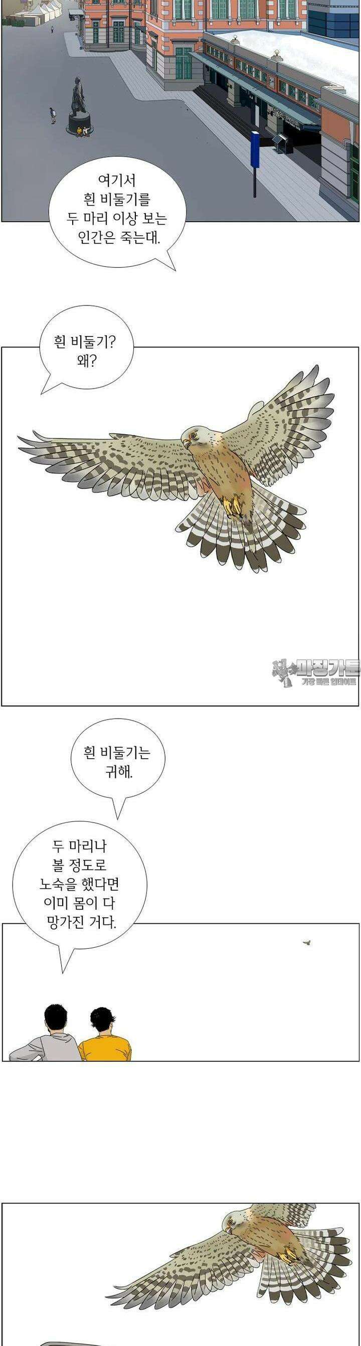 나도 사람이야 8화 광장의 비둘기 3