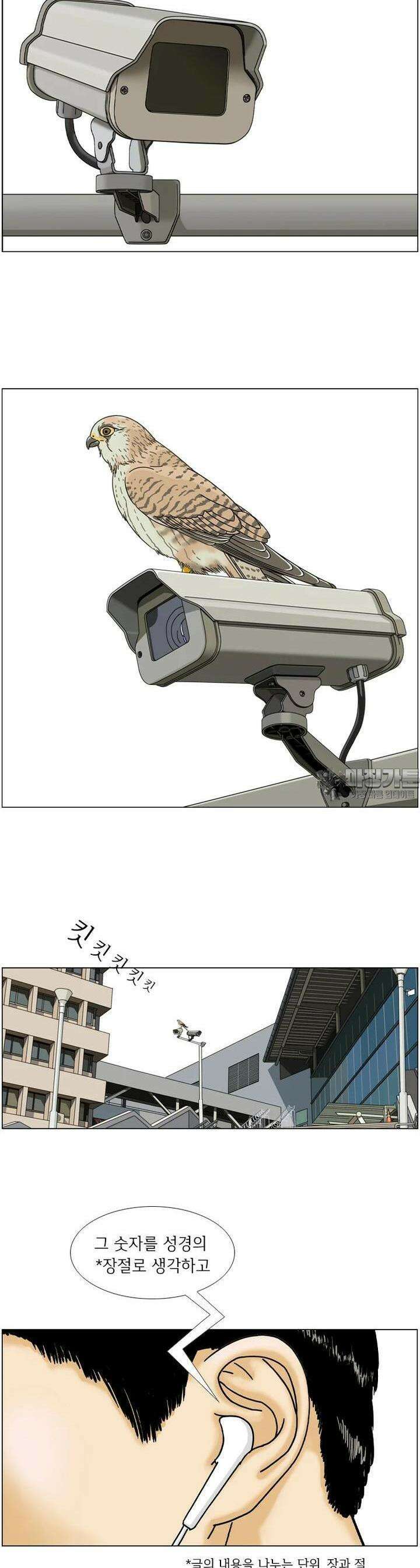 나도 사람이야 8화 광장의 비둘기 4