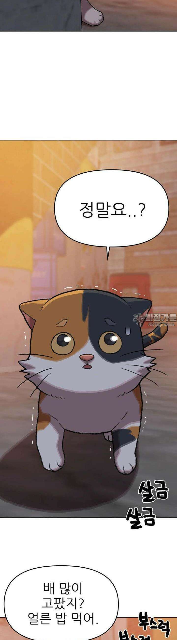무지개다리 파수꾼 무지개다리 파수꾼 146화 20