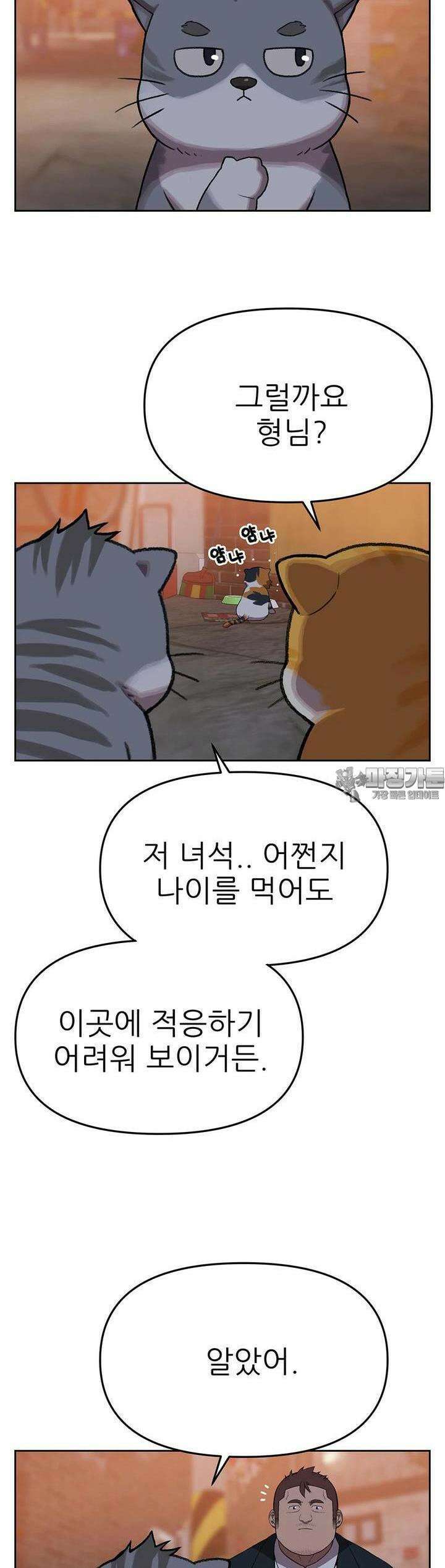무지개다리 파수꾼 무지개다리 파수꾼 146화 29