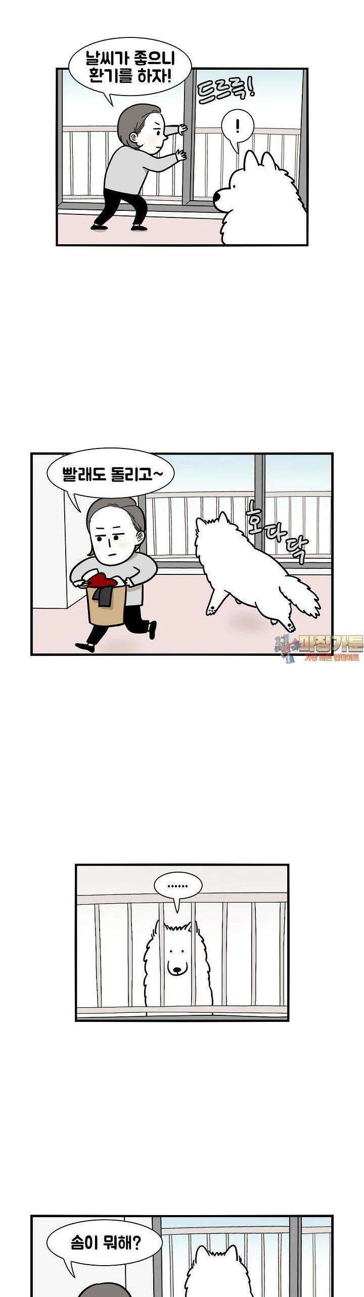 극한견주 16화 거친 개들의 왕국 1