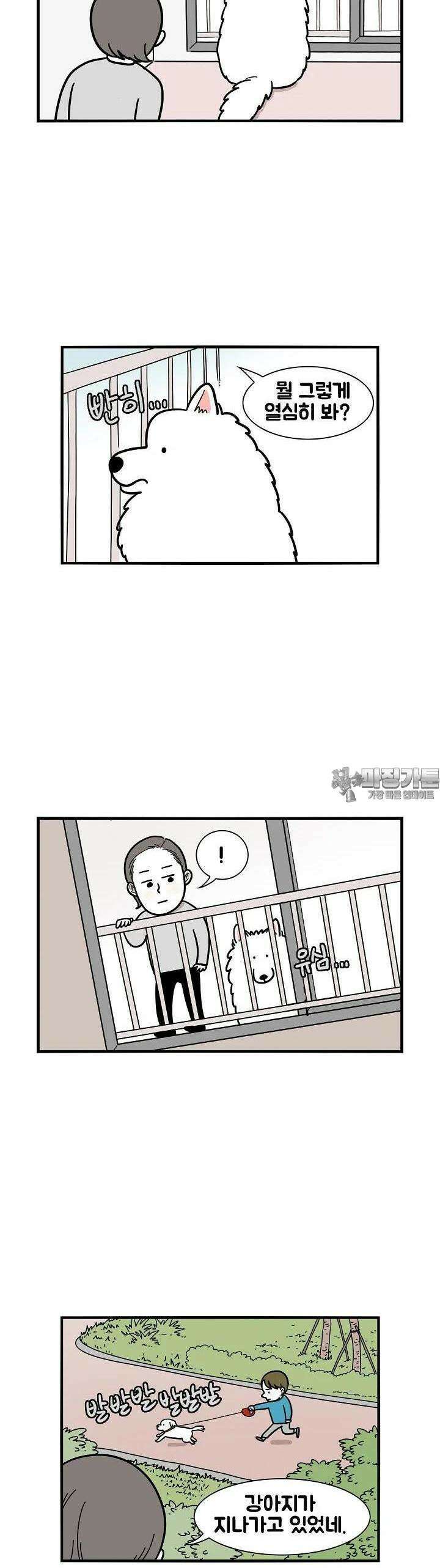 극한견주 16화 거친 개들의 왕국 2