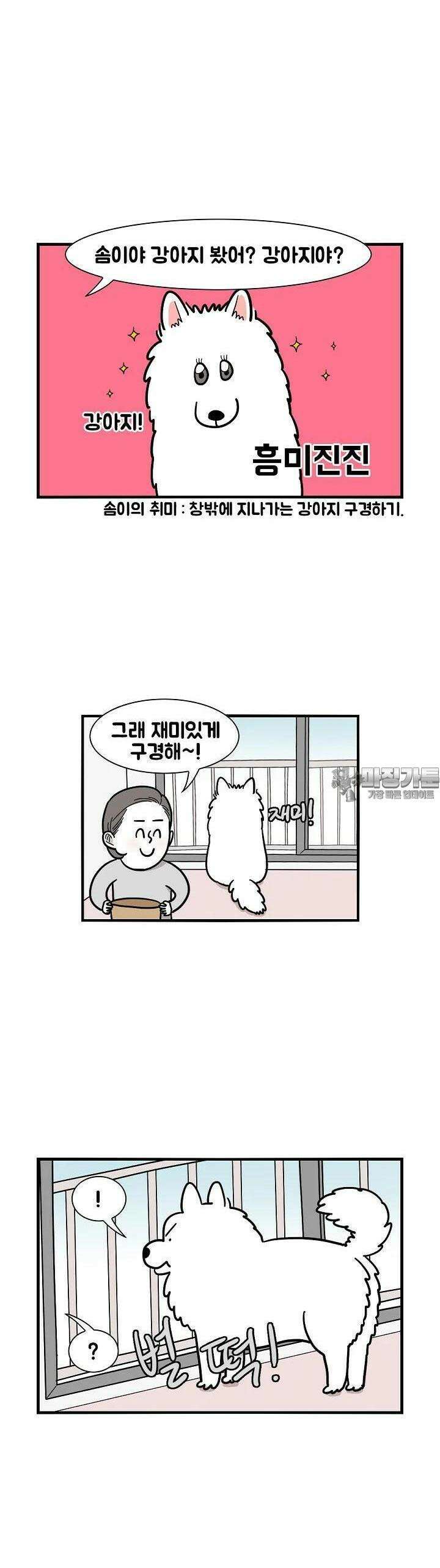 극한견주 16화 거친 개들의 왕국 3