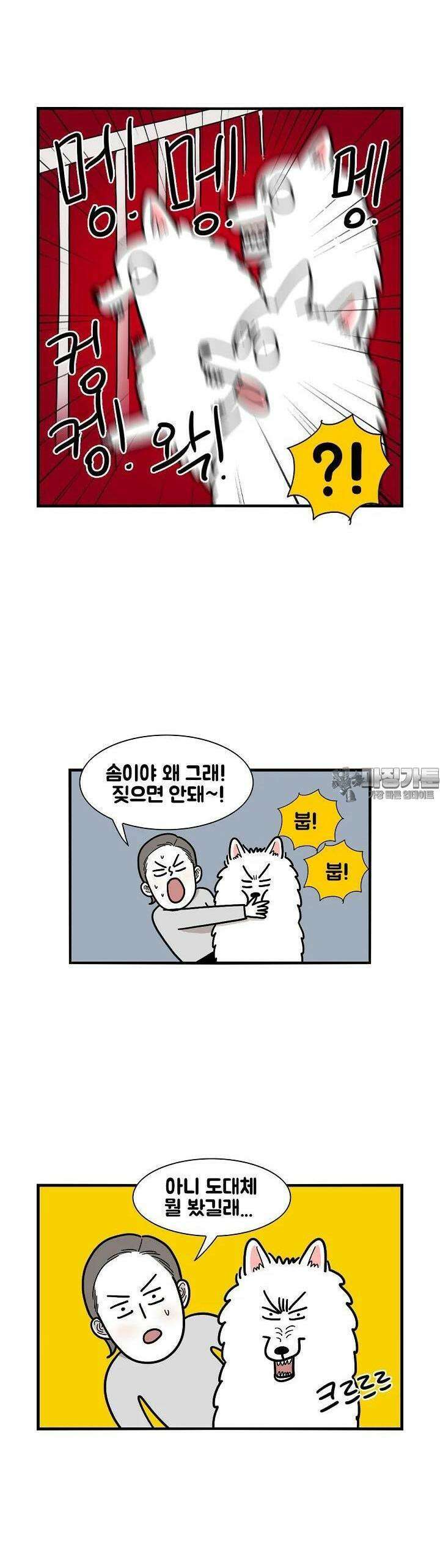 극한견주 16화 거친 개들의 왕국 4