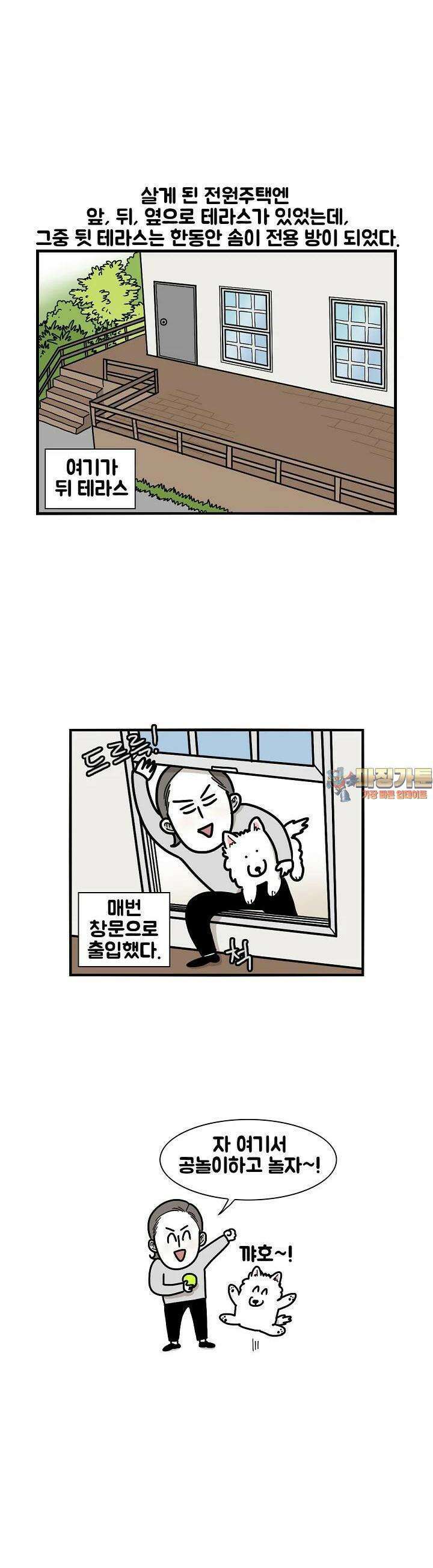 극한견주 24화 테라스 1