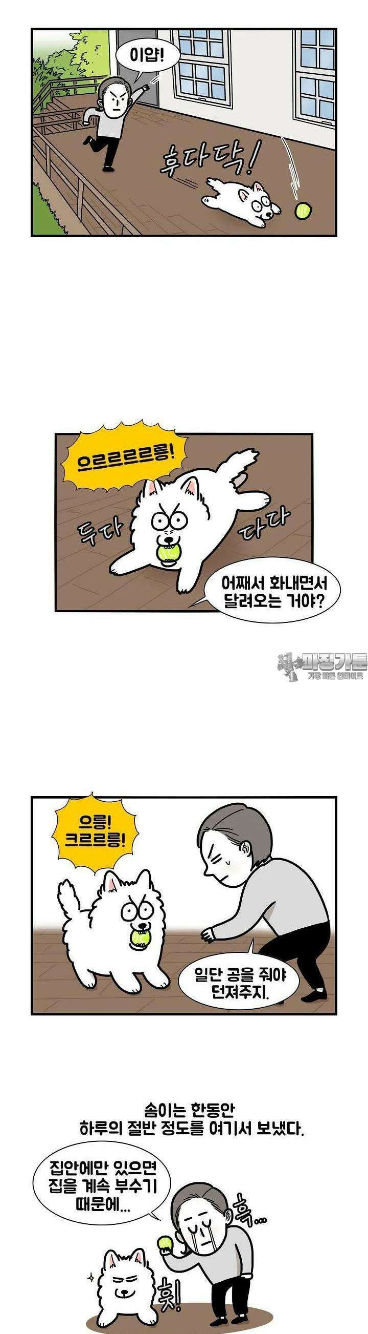 극한견주 24화 테라스 2