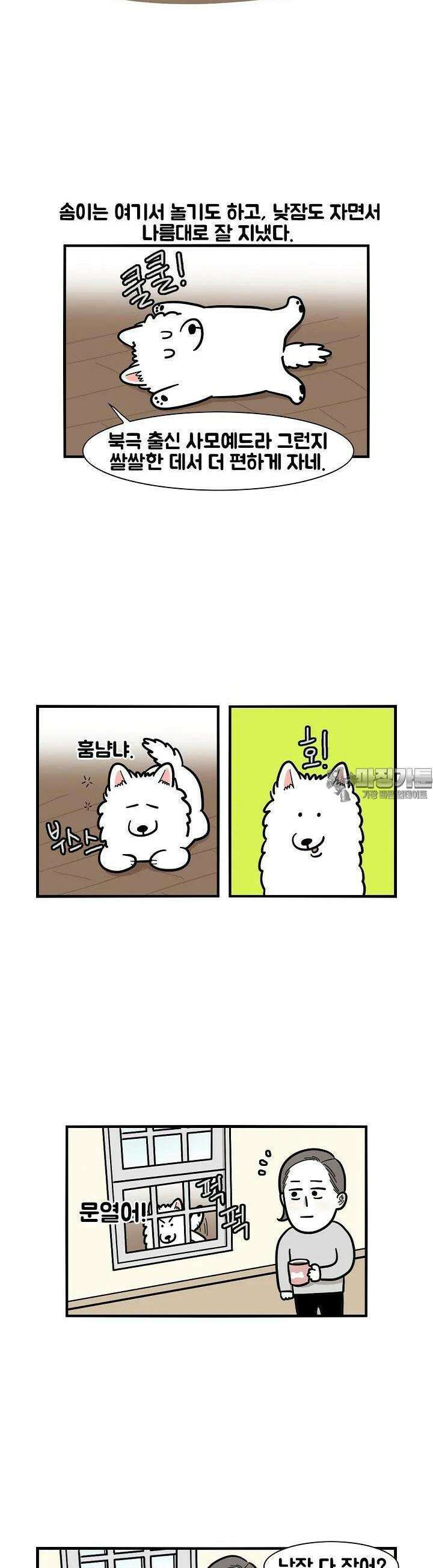 극한견주 24화 테라스 3