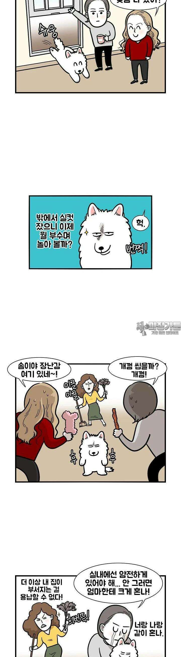 극한견주 24화 테라스 4
