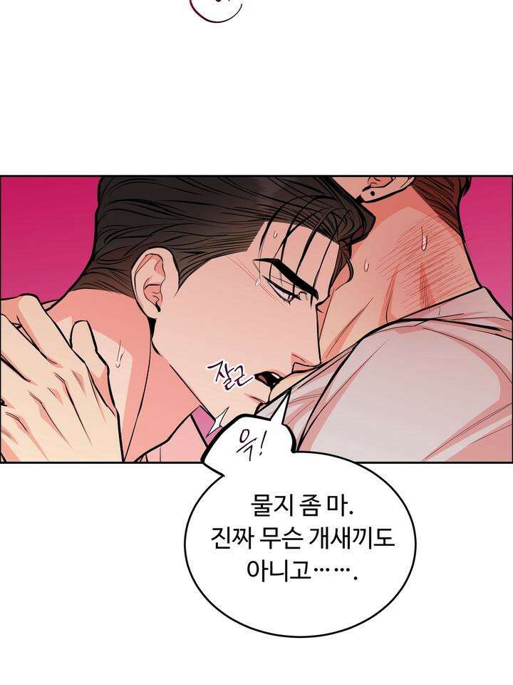 개와 새 29화 28