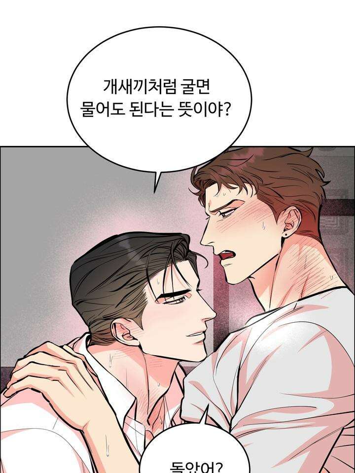 개와 새 29화 29