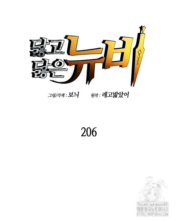 닳고닳은 뉴비 206화 41