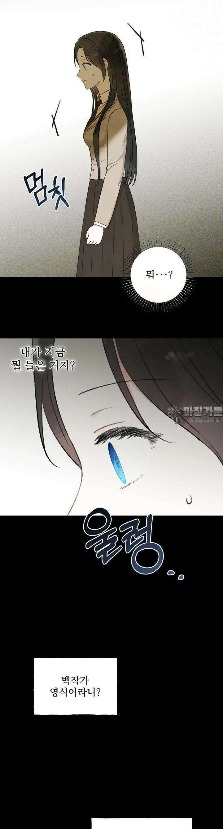 알리사와 마법일기 20화 11