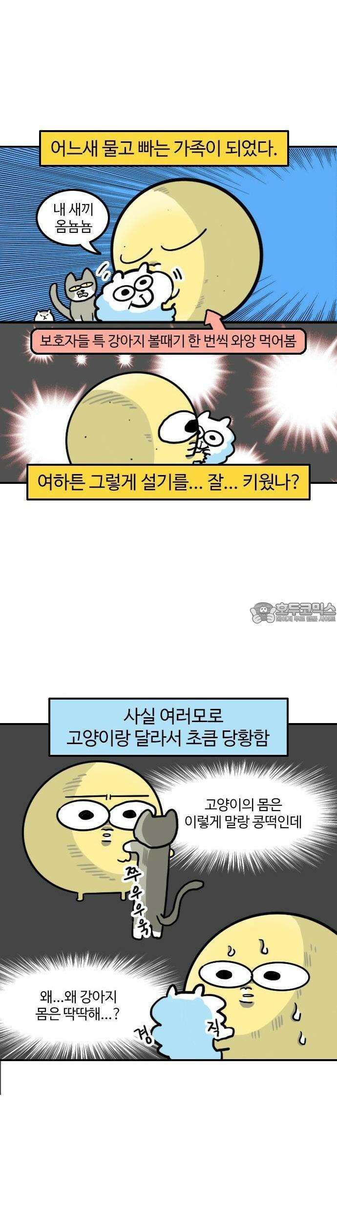 유부 감자 55화 나의 동물 친구들 (2) 2