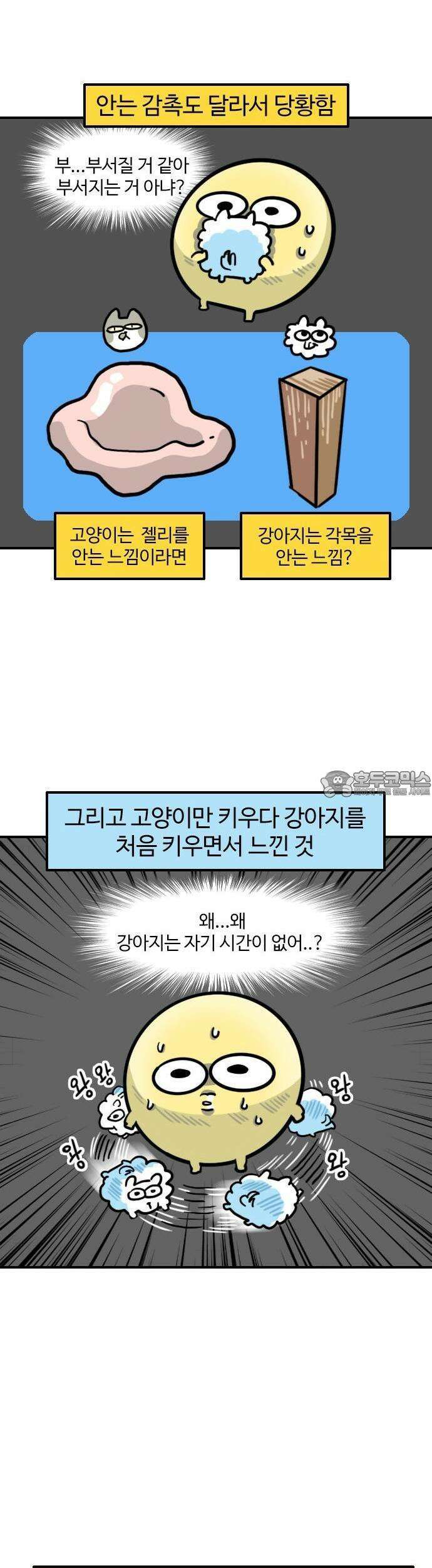 유부 감자 55화 나의 동물 친구들 (2) 3