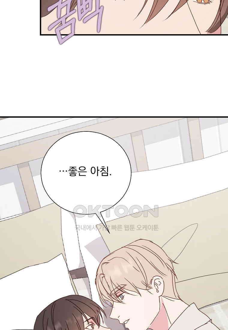 해 밝은 밤의 산책 80 2