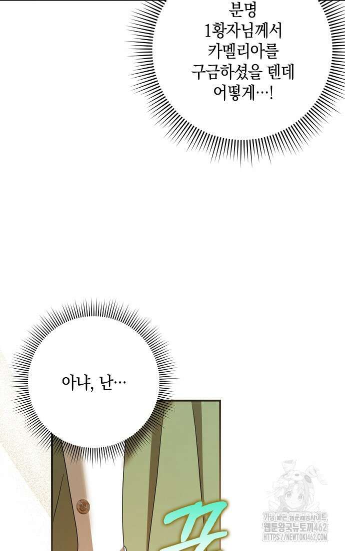 사라진 신데렐라 53화 65