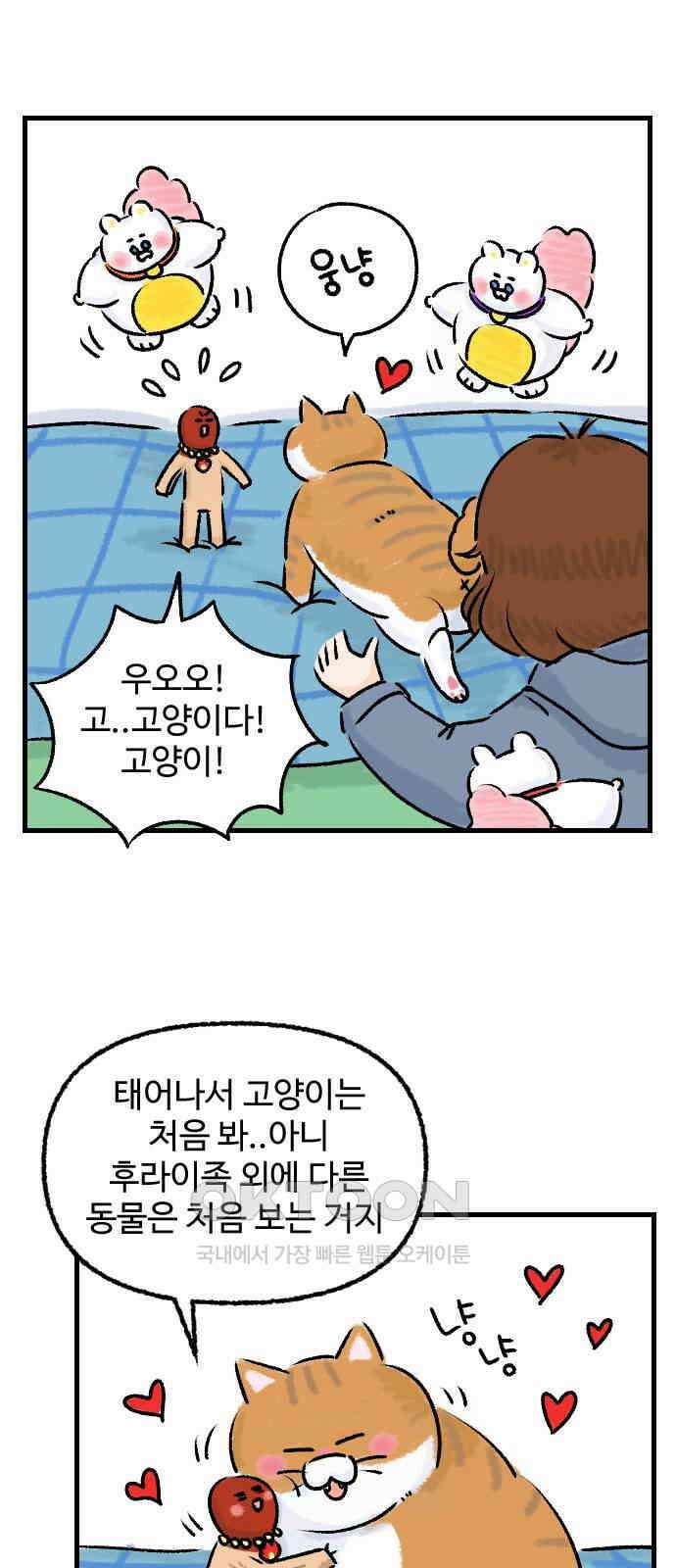 우리는 후라이족 45화 6